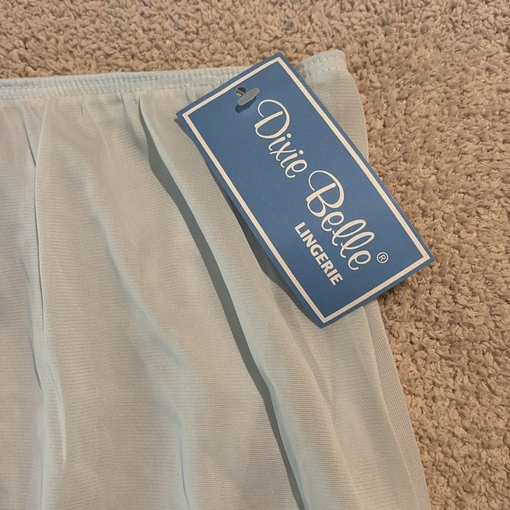 Dixie Belle Women’s Classic Nylon Briefs Panties Powder Light Blue Size 10